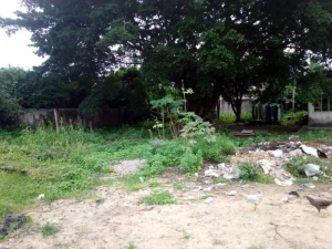 Image 1 Title