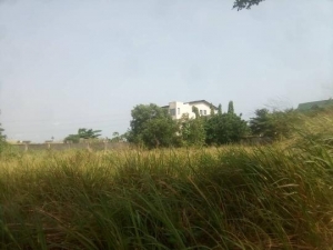 1000sqm Land For Sale 1,000 Meter Square of Land for Sale Ikoyi Lagos Vetra  Property