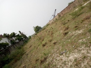 1500sqm Land For Sale 1,500 Meter Square of Land for Sale Ikoyi Lagos Vetra  Property