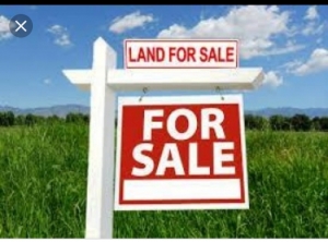 1800sqm Land For Sale 1,800 Meter Square of Land for Sale Ikoyi Lagos Vetra  Property