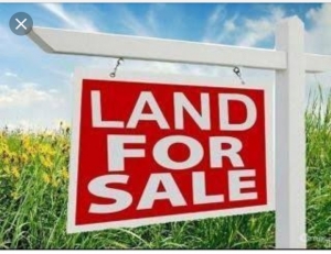 1400sqm Land For Sale 1,400 Meter Square of Land for Sale Ikoyi Lagos Vetra  Property