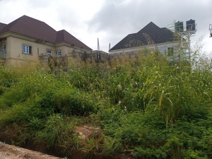 Carcass Duplex Detached Duplex for Sale Lugbe Abuja Vetra  Property