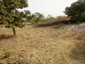 Image 1 Title