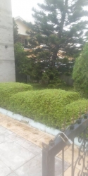 This Massive House At Carlton Gate Super Biggest Island Sweet Family Home! Carlton Gate Chevron 6bd Detached House With Penthouse Plus Bq , Garden , 60kva Generator Etc. Rent. 7mpa House for Rent Lekki Lagos Vetra  Property
