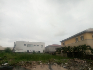 Image 1 Title