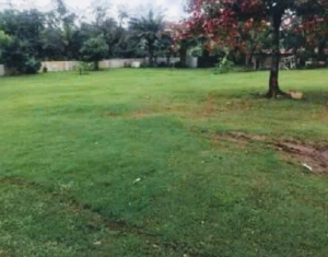 6200sqm Of Land For Sale In Mabushi Between Banex Bridge And Capital Hub. 6,200 Meter Square of Land for Sale Apo Abuja Vetra  Property