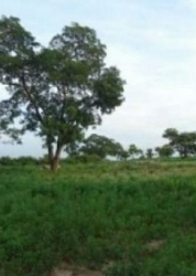 Aviation Village 11 Hectares For Sale  11 Hectare of Land for Sale Gwagwalada Abuja Vetra  Property
