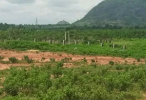 13 Hectres Of Multi Purpose Land In Giri In Fct Abuja Land for Sale Gwagwalada Abuja Vetra  Property