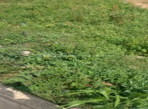 Super Distress In Asokoro Main. Land Size 3000sqm. Purpose: Residential.  3,000 Meter Square of Land for Sale Asokoro Abuja Vetra  Property