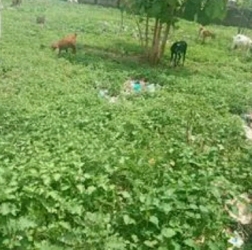 Multipurpose 5 Hectares In Kyami 5 Hectare of Land for Sale Lugbe Abuja Vetra  Property