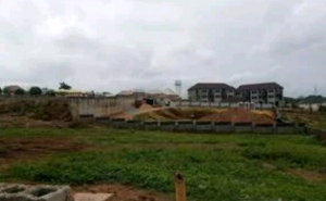 Super Distress Sale In Asokoro 3000sqm Land 3,000 Meter Square of Land for Sale Asokoro Abuja Vetra  Property