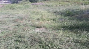 Mass Housing 40 Hectares In Karsana West 40 Hectare of Land for Sale Karsana Abuja Vetra  Property