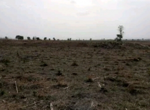 Giri Hot Sale 50 Hectares Commercial 50 Hectare of Land for Sale Gwagwalada Abuja Vetra  Property