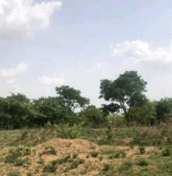 100 Hecrares Mass Housing Kyami Airport Road 100 Hectare of Land for Sale Lugbe Abuja Vetra  Property
