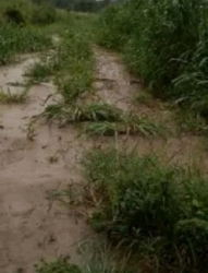 845.41sqm Of Land In Apo Good Location 845 Meter Square of Land for Sale Apo Abuja Vetra  Property