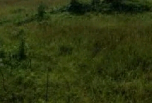 1200 Sqm Land In Guzape 1,200 Meter Square of Land for Sale Guzape Abuja Vetra  Property
