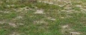 1 Hectare Commercial In Mabushi Commercial Property for Sale Apo Abuja Vetra  Property