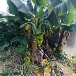 Image 1 Title