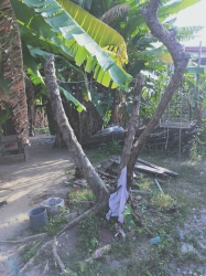  680sqm Land 680 Meter Square of Land for Sale Ogudu Lagos Vetra  Property