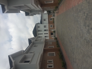 Image 1 Title