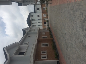 Image 1 Title