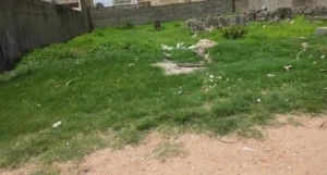 Land Measuring 695.4sqm 695 Meter Square of Land for Sale Gbagada Lagos Vetra  Property
