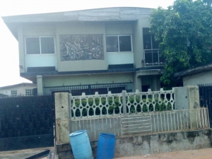 For Sale 2wings Of 5brm&4brm [email protected] 50m Both D 2wings Wit Cofo House for Sale Ogba Lagos Vetra  Property