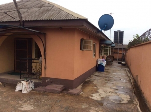  Sale!!!???? A Number Of 2bedroom Flat And A Number Of Mini Flat On An Half Plot Of Land For Sale Location: Giwa Ishaga Price: 13million Net Title: Receipt And Survey Plan Flat for Rent Iju Lagos Vetra  Property