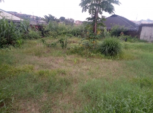 Half Plot Of Land For Sale At Oke Ira Ogba Lagos 12m  1 Plot of Land for Sale Ogba Lagos Vetra  Property