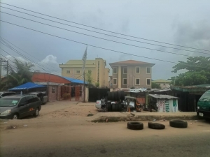 Image 1 Title