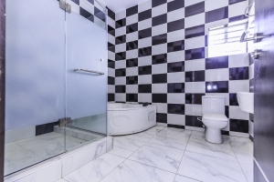 Image 1 Title