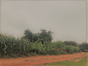 367sqm Land  367 Meter Square of Land for Sale Apo Abuja Vetra  Property
