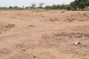 1000 Hectares Land At Lugbe 1,000 Hectare of Land for Sale Lugbe Abuja Vetra  Property