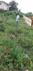Image 1 Title