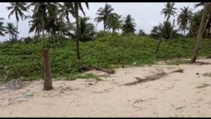 Image 1 Title