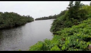 Image 1 Title