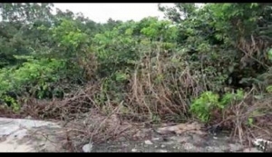 Image 1 Title