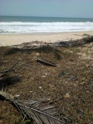 A Land For Resort Land for Sale Ibeju Lekki Lagos Vetra  Property