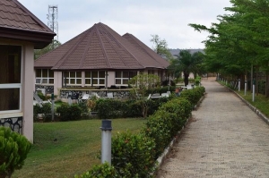 Image 1 Title