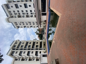 Image 1 Title