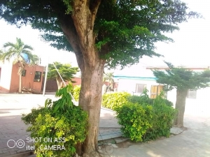 Image 1 Title