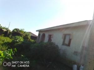 Image 1 Title