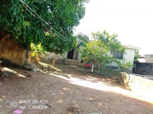 Image 1 Title