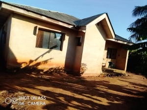 4bedroom Built On A Full Plot 4 bedroom Detached Bungalow for Sale Ipaja Lagos Vetra  Property