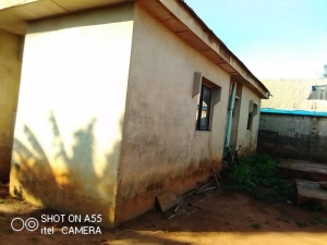 Image 1 Title