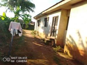 Image 1 Title