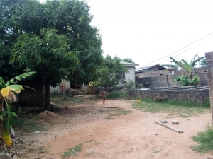 Image 1 Title