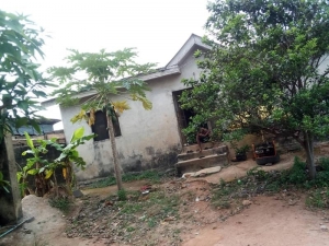 Image 1 Title