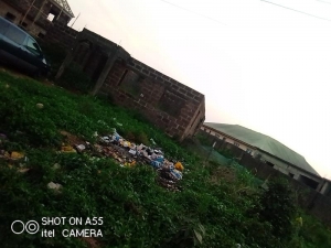 Image 1 Title