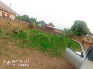 Image 1 Title